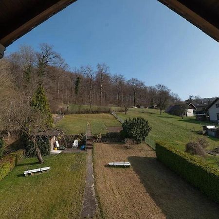 Ferienwohnung Am Waldrand Bad Driburg Ngoại thất bức ảnh